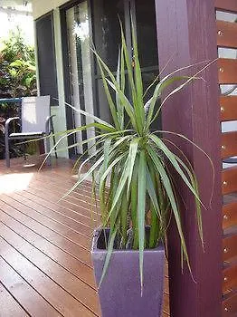 Naracoopa Bed & Breakfast & Pavilion Shorncliffe